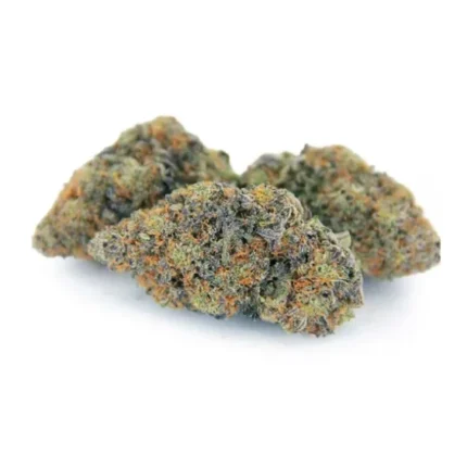 Acai Berry Gelato Strain