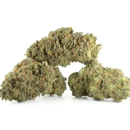 Amnesia Haze Strain
