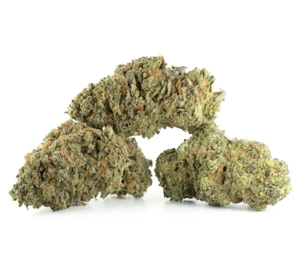Amnesia Haze Strain Amnesia Haze Strain
