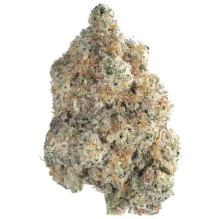 Berry Pie Strain