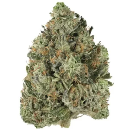 Bubba OG Strain