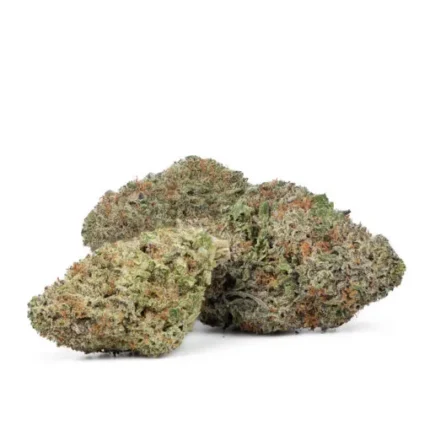 Jack Herer Strain