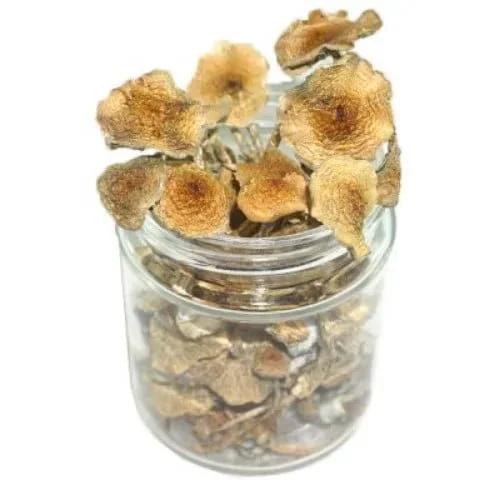 goldielocks-mushrooms.webp